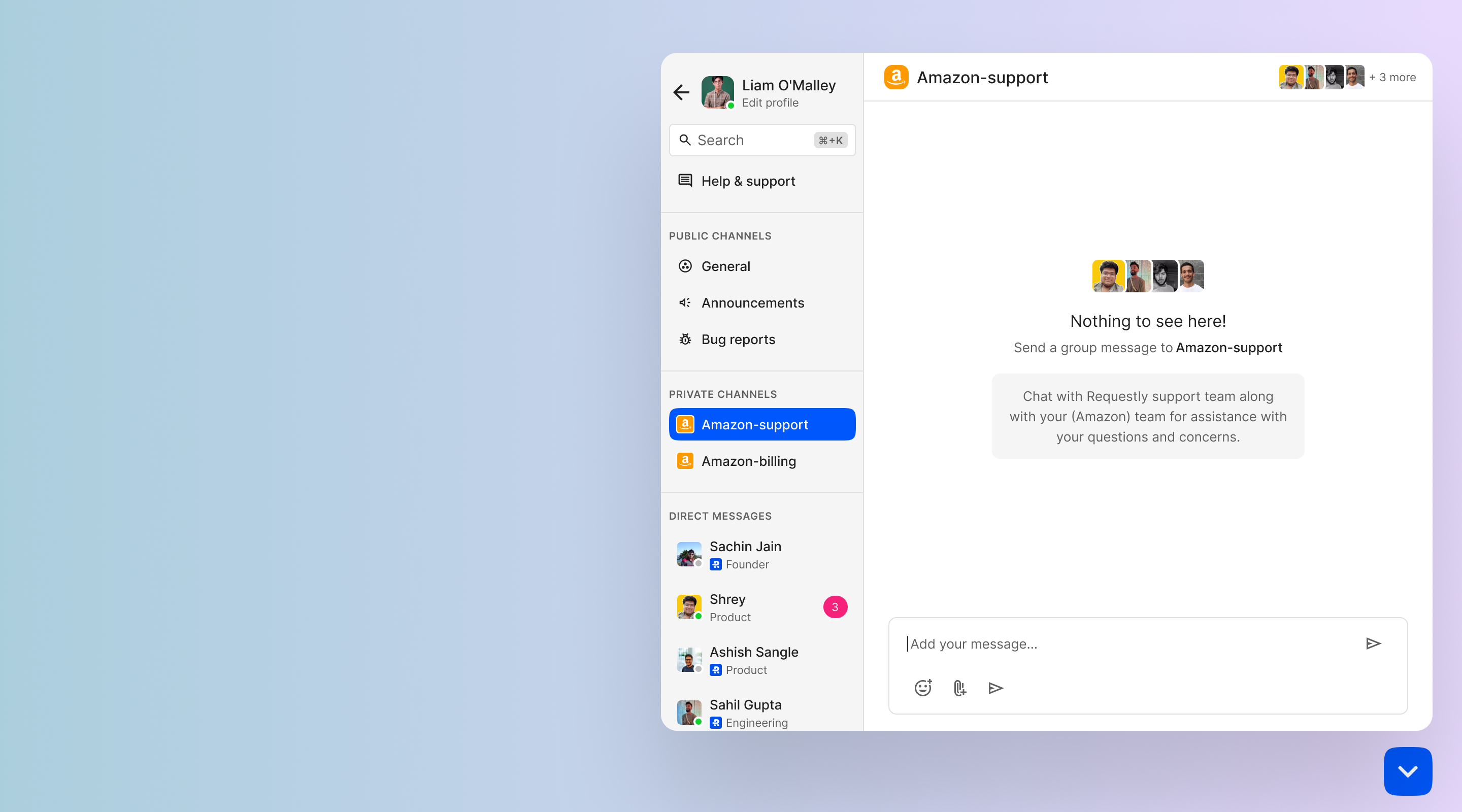 Private customer channel in the expanded widget